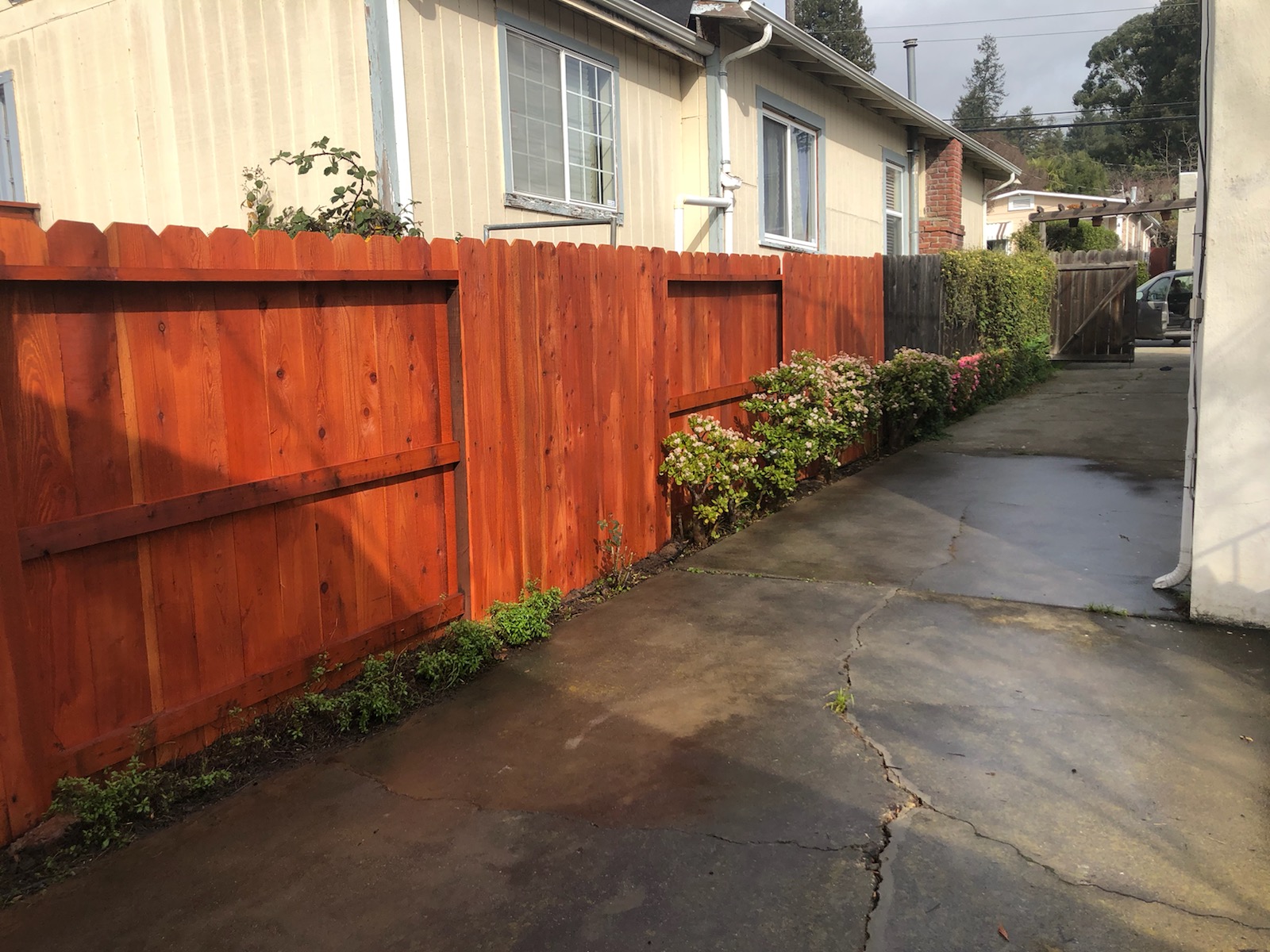 Ergeon A Guide to Shared Fences